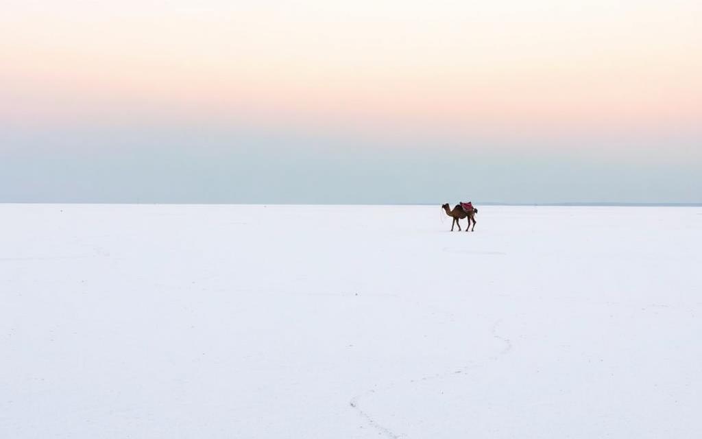 Kutch, Gujarat